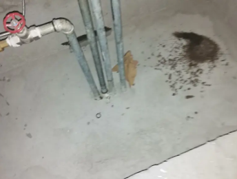 易县卫生间测漏水价格明细